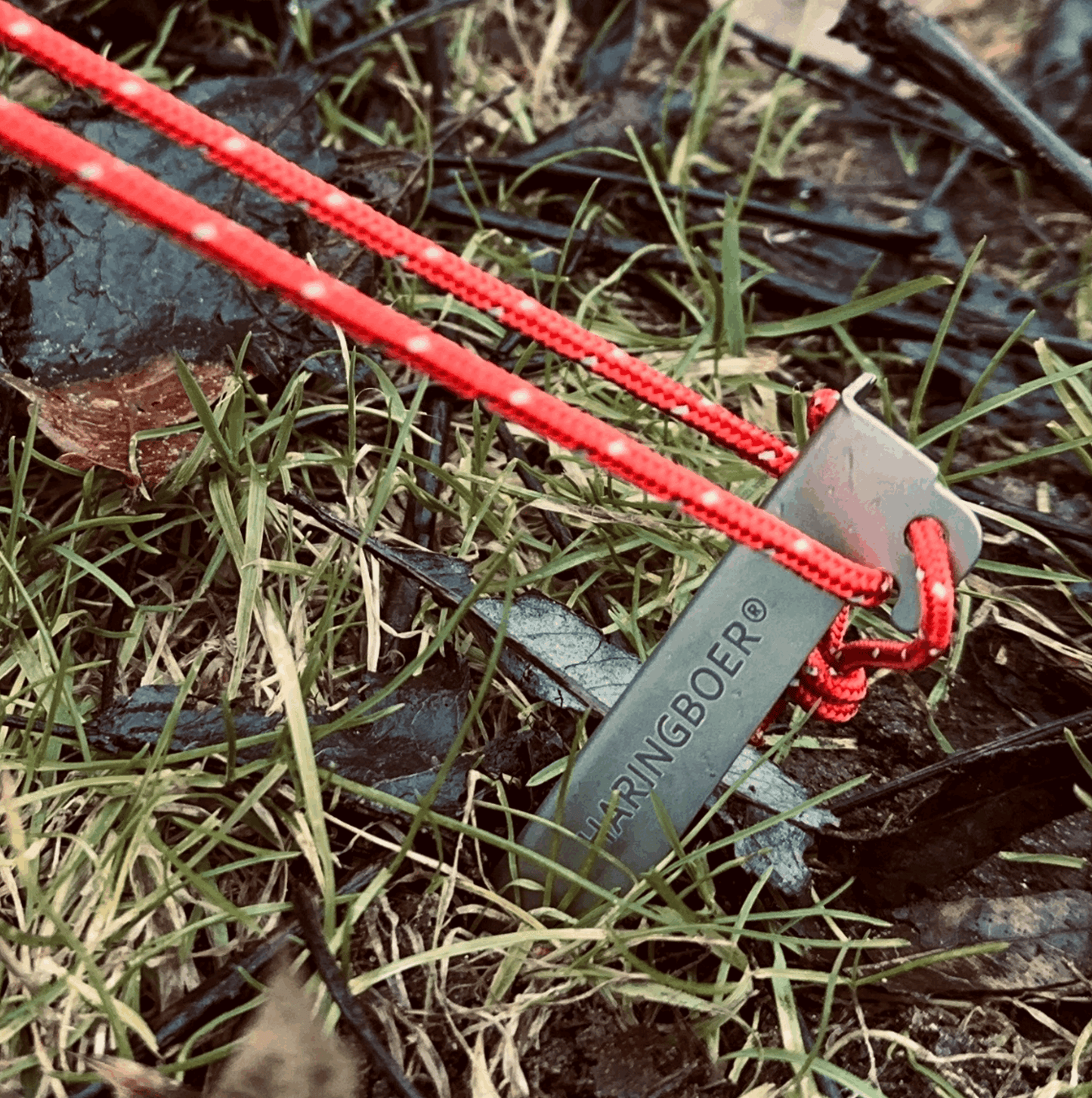 Haringboer 16,5 cm titanium grondharingen met PegPull®