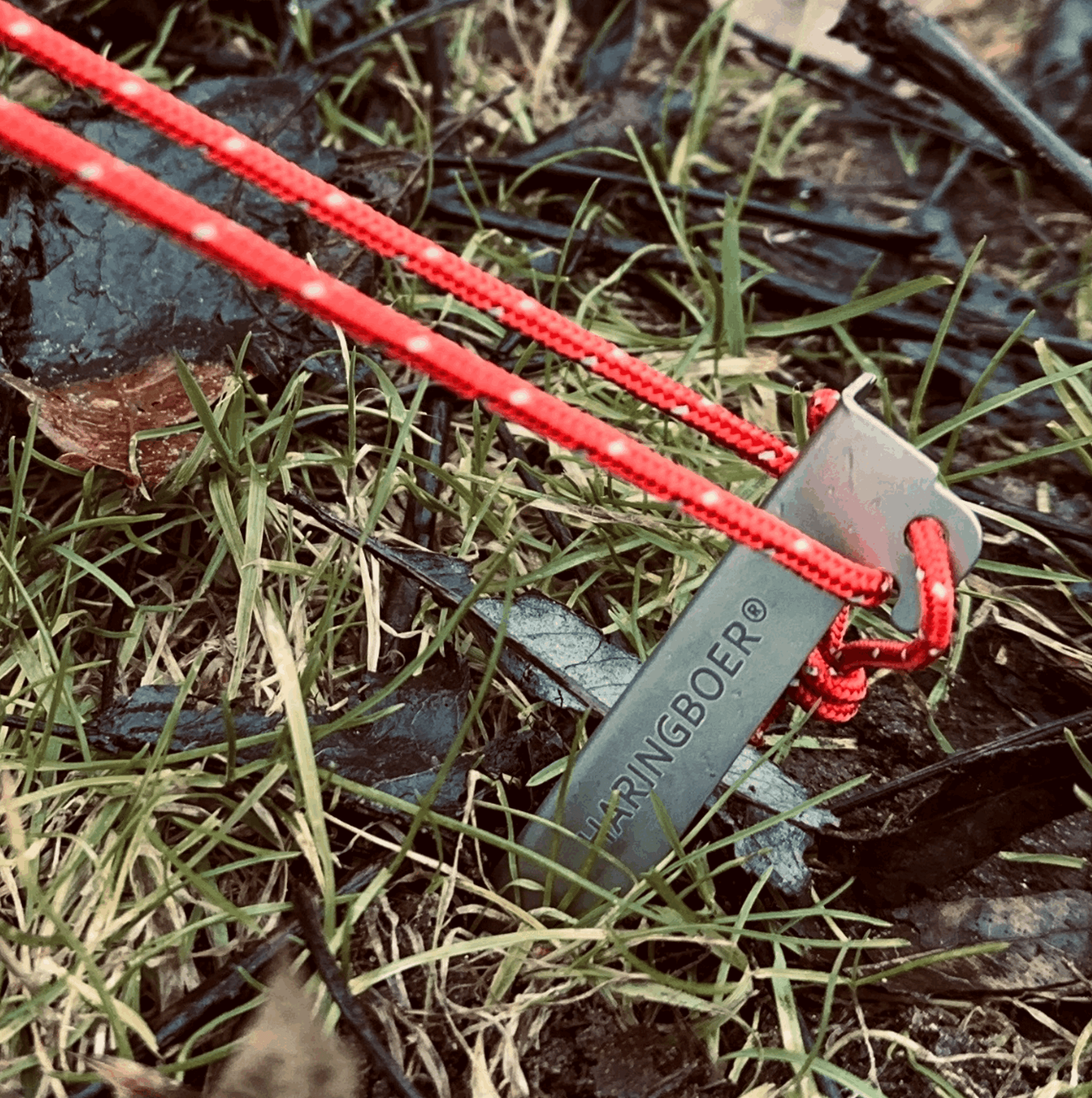 Haringboer 16,5 cm titanium grondharingen met PegPull®