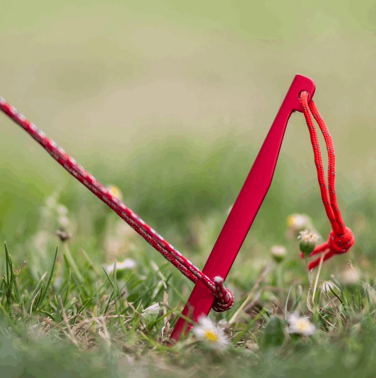 V-Hering 16 cm im Detail: nur 11 Gramm mit reflektierender Kordel