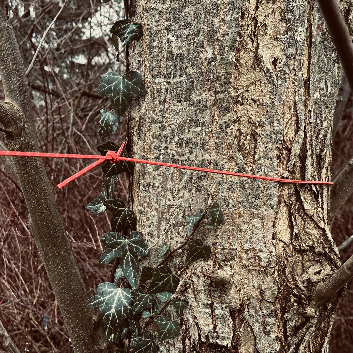 Reflektierende Abspannleine 4 mm x 20 m auf Kunststoffspule unterwegs im Einsatz