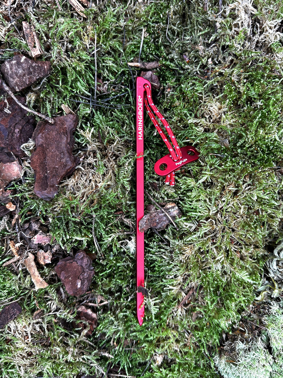 Felshering 16 cm aus Aluminium mit PegPull im Einsatz beim Camping