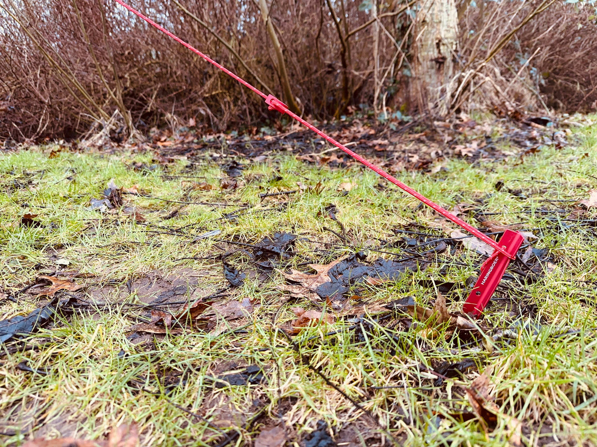 Sturmfeste Abspannleinen 5 m mit 25-mm-Zeltspanner beim Zeltaufbau