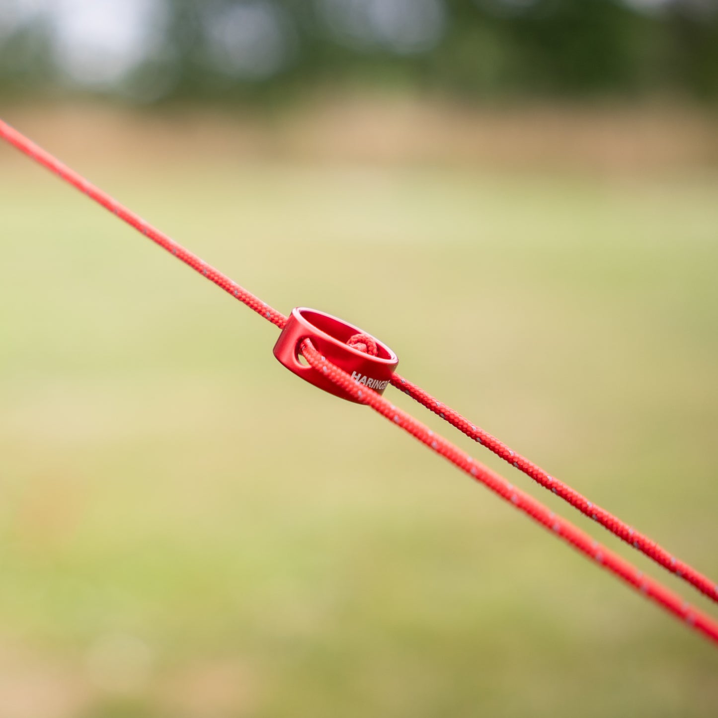 Abspannleine (Ø2 mm | 3 m) mit rundem Spanner